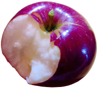 pomme 31 liste